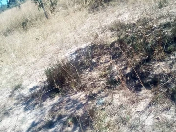 Farm & Agricultural Land