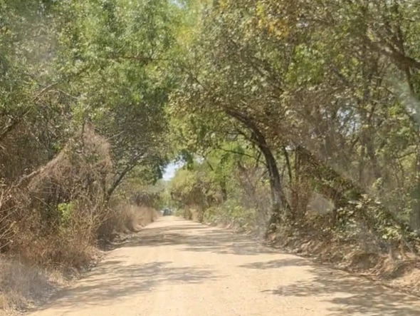 Farm & Agricultural Land