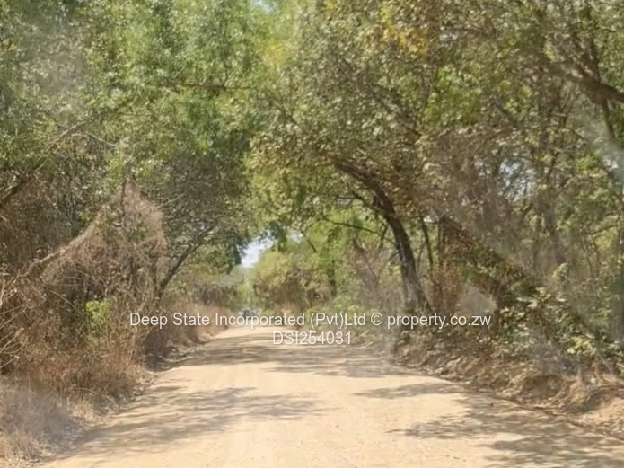 Beatrice farm for sale 