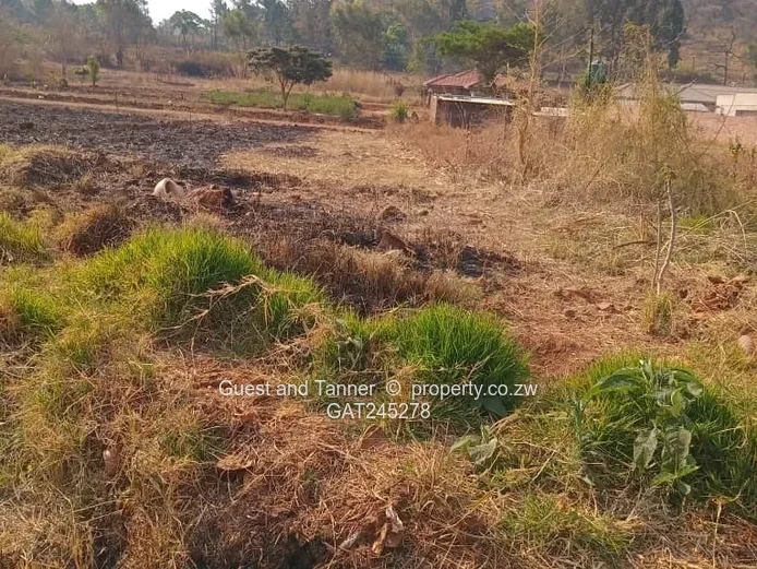 Ruwa Athelney Stands For Sale