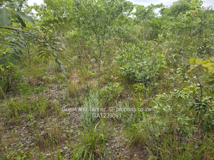 2159sqm Marondera low density residential stand for sale