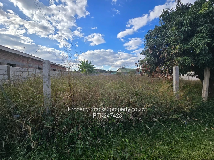 Beautiful ready to Build stand in mature neighborhood 