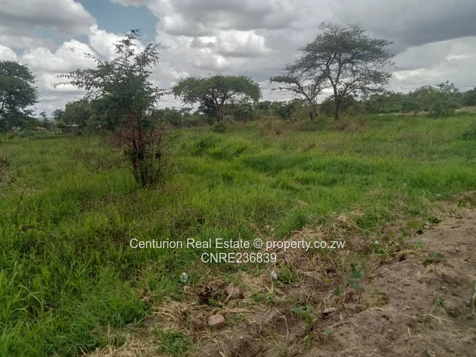 Rydale ridge stand for sale