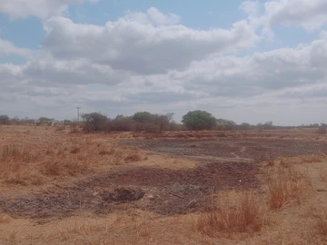A Good Agricultural Investment
