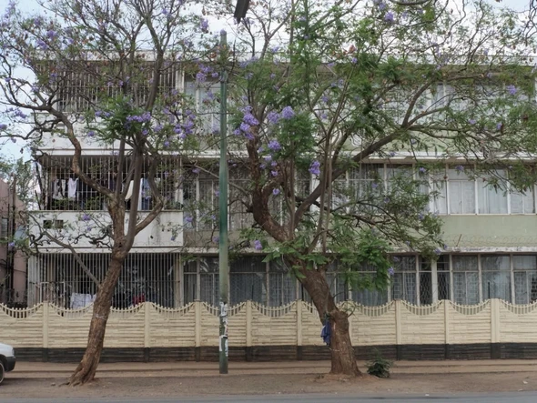 3 Bedroom Flat & Apartment