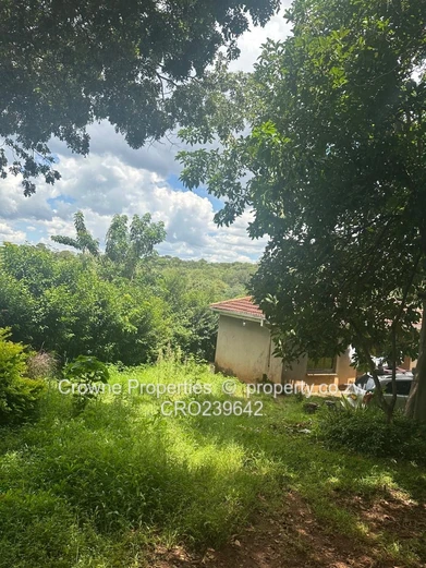 Residential Stand For Sale