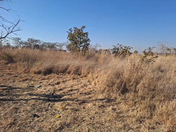 Commercial & Industrial Land