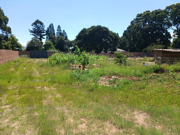 Stands & Residential Land