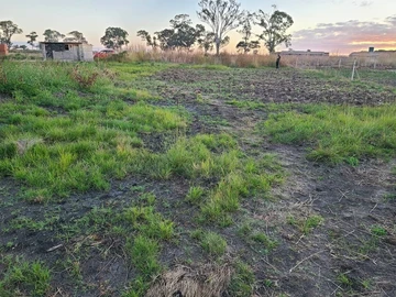 Stands & Residential Land