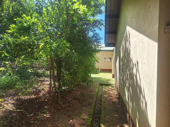 Farm & Agricultural Land