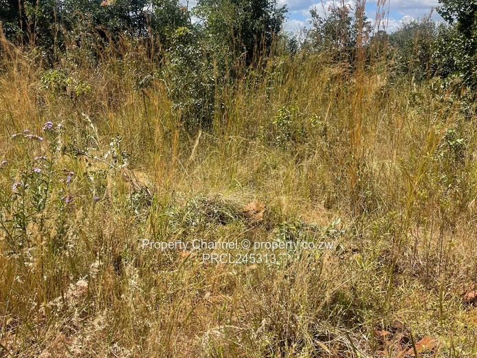 1200sqm in Luna Estate, Nyabira (Sole Mandate)