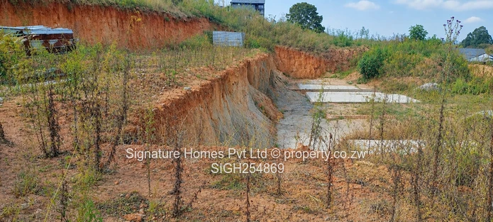 Vacant Stand For Sale - Elevated 