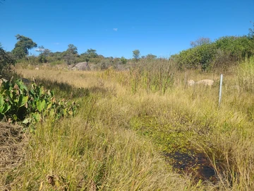 Farm & Agricultural Land