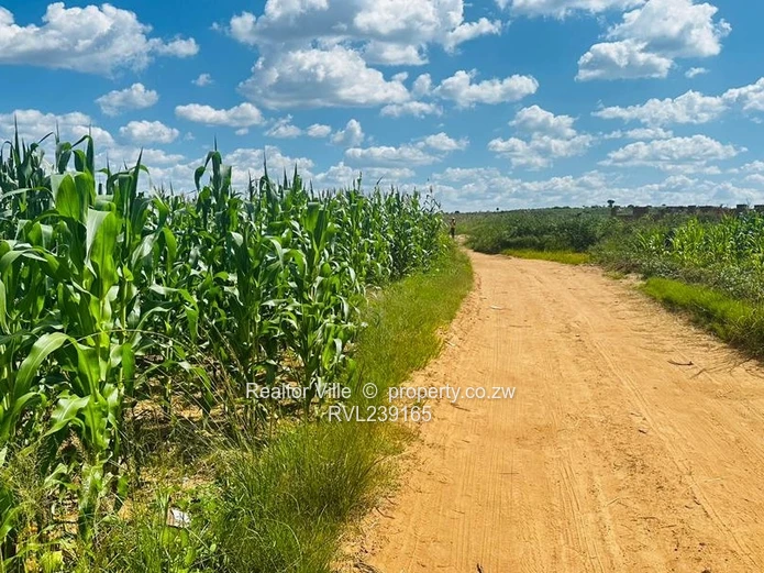 512m² Rydale Ridge Stand 