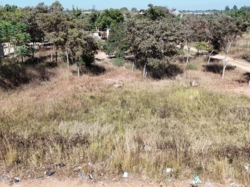 Stands & Residential Land