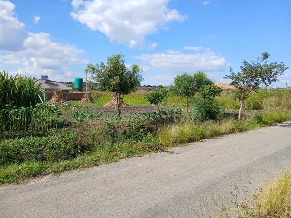 Stands & Residential Land
