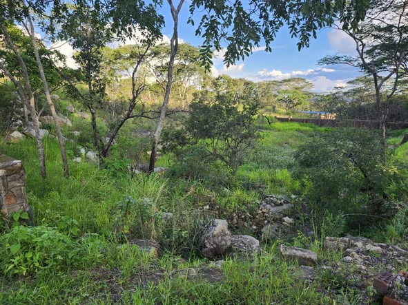 Farm & Agricultural Land