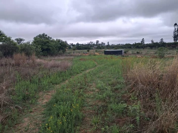 Commercial & Industrial Land