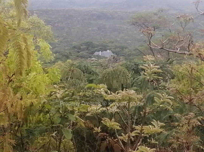 2 Hectare Residential Land for Sale in Glen Forest, Harare North