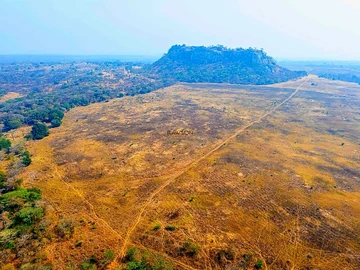 Farm & Agricultural Land