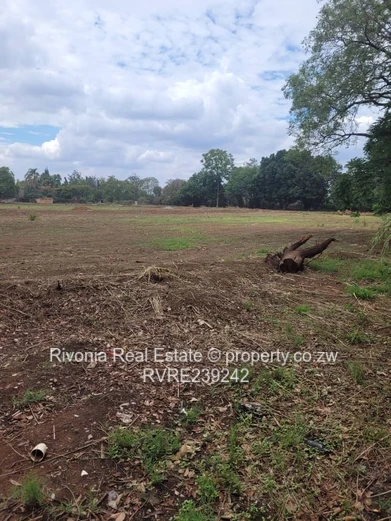 Old Marlborough 800- 1000sqm stands 