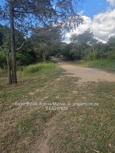 Fernvalley. Mutare