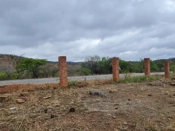 Farm & Agricultural Land