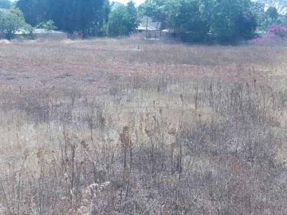Land