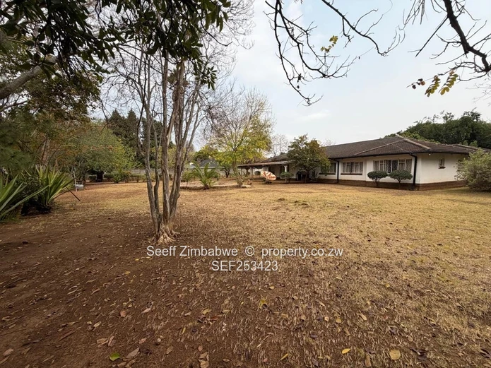 Family Home with Endless Potential