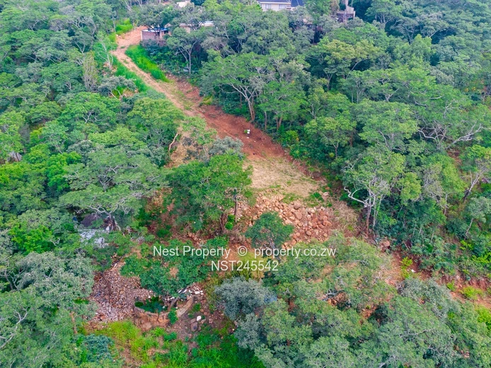 Stunning Piece of Land for Sale in Glen Lorne (Sole Mandate)