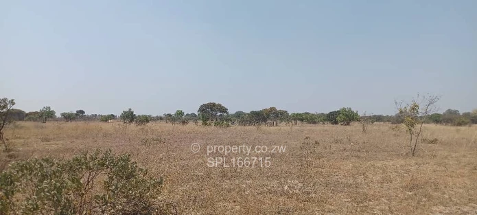 5.2 hectares Farmland. (Sole Mandate)