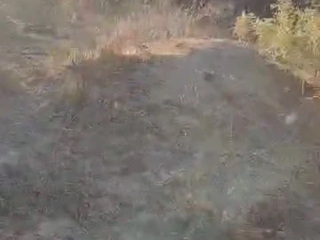 Farm & Agricultural Land