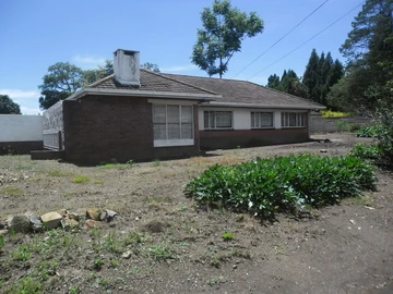 Old Mount Pleasant 
