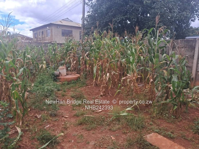 Tynwald Commercial Stand For Sale (Sole Mandate)