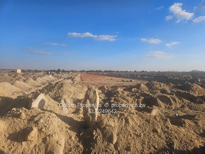 New! Special Economic Zone!
