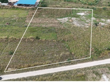 Commercial & Industrial Land