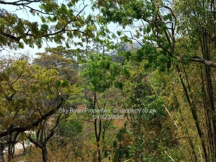 Vumba Property For Sale