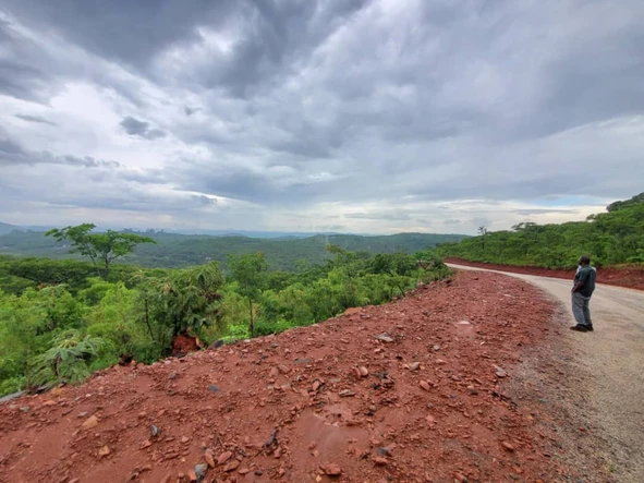 Stands & Residential Land