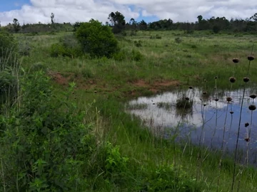 Farm & Agricultural Land