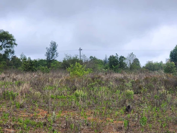 Farm & Agricultural Land
