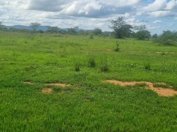 Farm & Agricultural Land