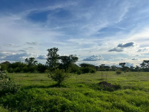 Farm & Agricultural Land