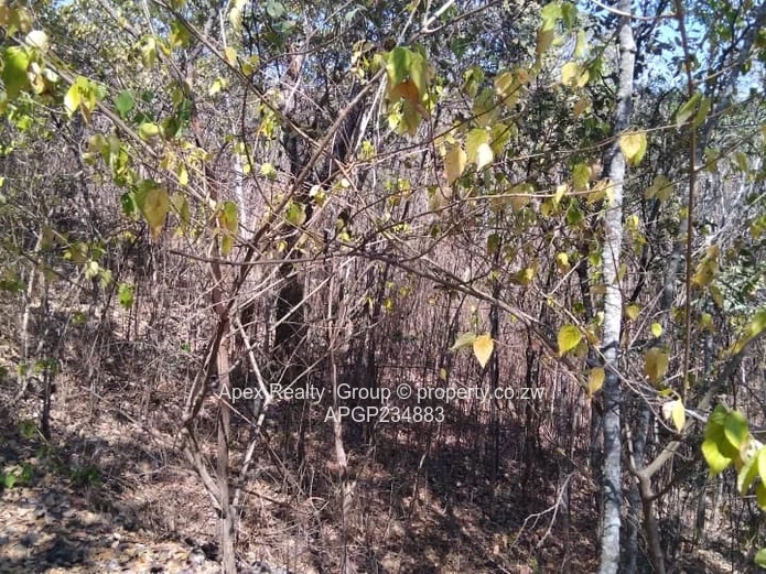 Glen Lorne Prime Land For Sale!