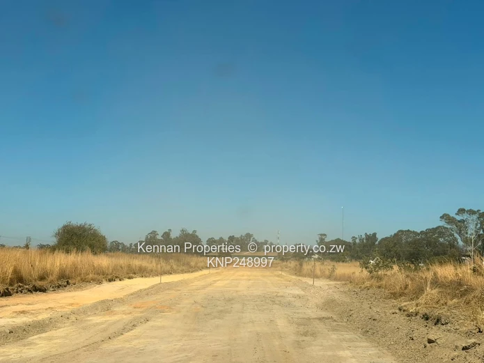Expansive 65,234ha Mt Hampden Land — Open Veld & Views