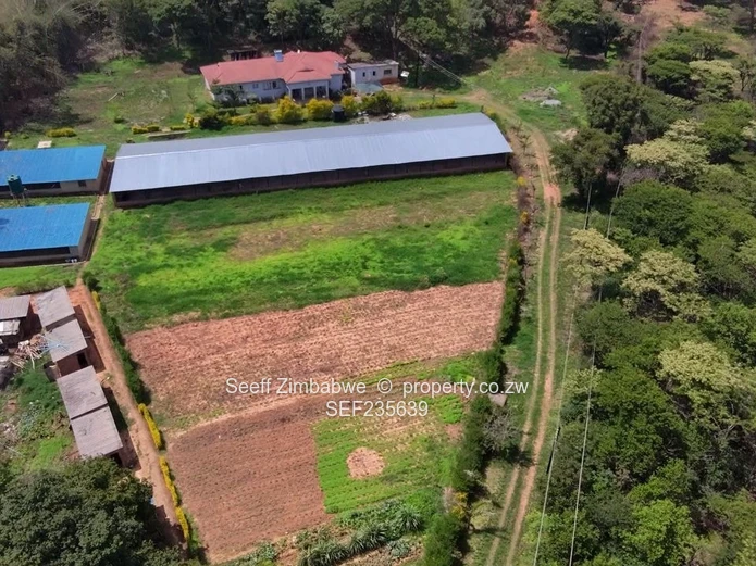 Prime Agro-Residential Property for Sale in Serene Location