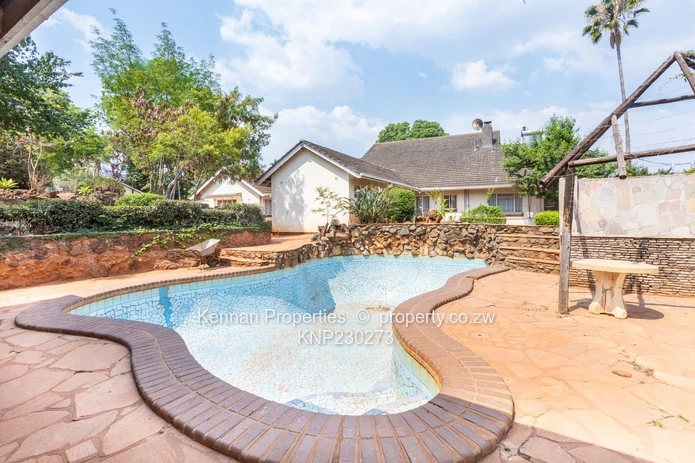 Potential On Arcturus Road - Nostro!