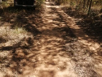 Farm & Agricultural Land