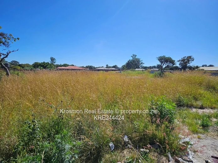 Open Grassy 2084m² Stand — Main Road Frontage, Airport
