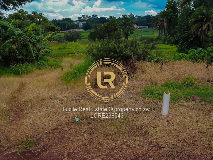 Greystone Park - $380k