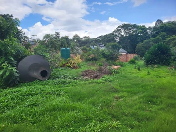 Greendale – Prime Stand for Sale! Build Your Dream Home
